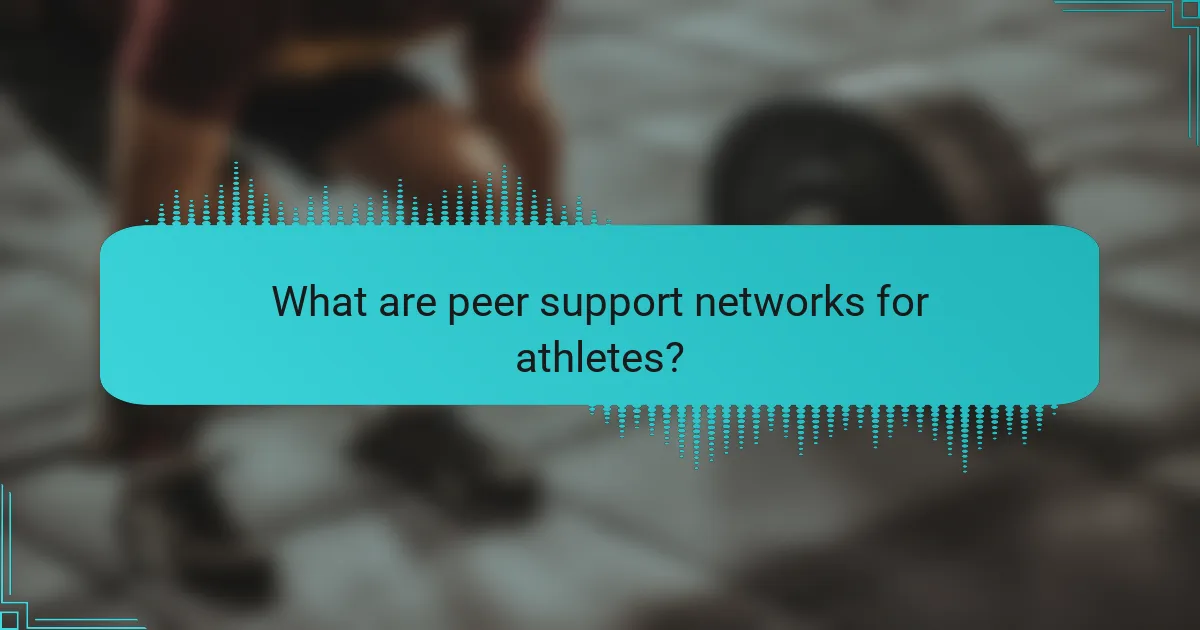 What are peer support networks for athletes?